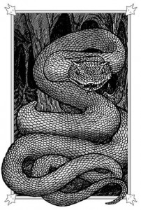 Fantastica — Internal Illustration